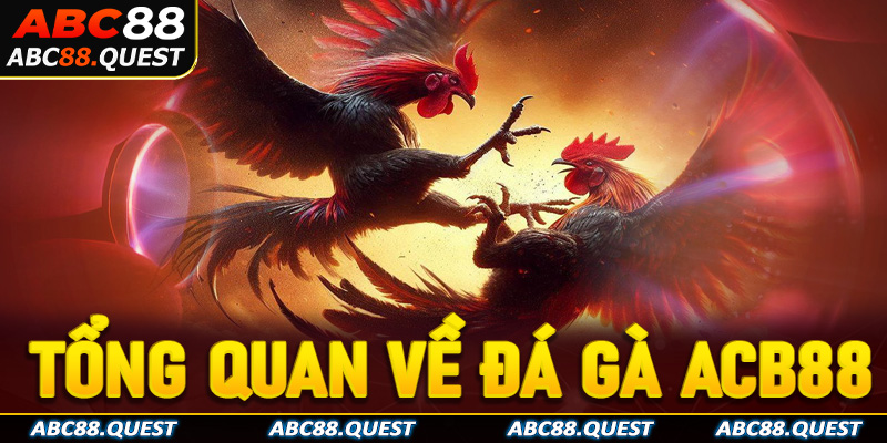 Tổng quan về sảnh game đá gà ABC88