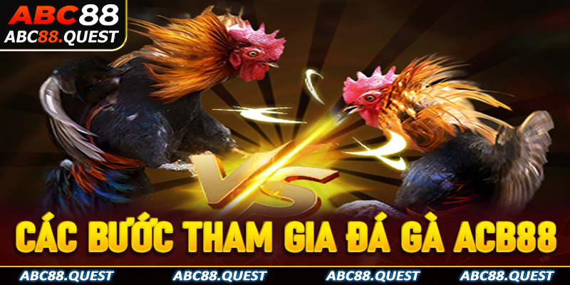 Hướng dẫn các bước tham gia cá cược tại đá gà ABC88